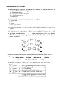 Self assesment questions Lecture1 (4)