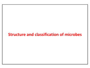 Shape & arrangement of bacteria