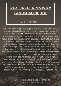 Real Tree Trimming & Landscaping, Inc (4)