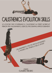 Burningate-Calisthenics-Evolution-Skills ebook