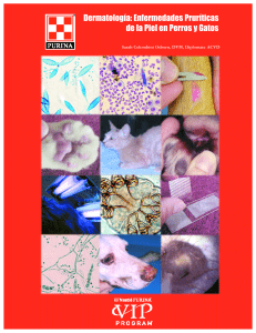 Dermatología - Enfermedades Pruríticas de la Piel en Perros y Gatos