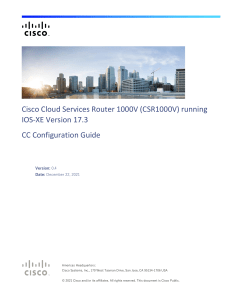 CSR1000v config Guide