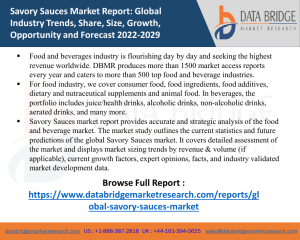 Savory Sauces Market Report