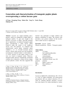 Transgenic Poplar Plants & Cotton Laccase Gene Overexpression