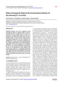 Effect of magnetic field on the fermentation kinetics of Saccharomyces cerevisiae