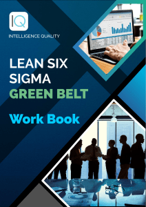 6 sigma workbook