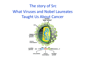 The story of Src What Viruses and Nobel Laureates Taught Us About Cancer