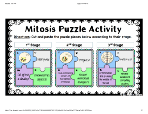 Mitosis Puzzel 1
