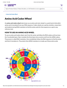 Amino Acid Codon Wheel