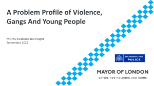 Serious youth violence problem profile