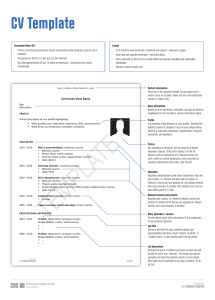 cv template sheet en (1)