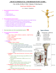 Musculoskeletal & Rehab Study Guide