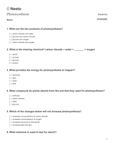 photosynthesis Quiz