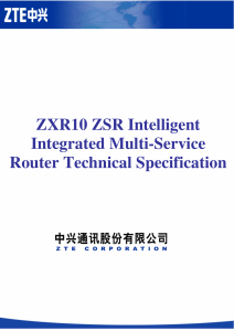 Manual ZTE ZXR10-ZSR-Router