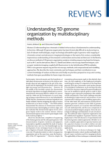 Understanding 3D genome organization by multidisciplinary methods 2021