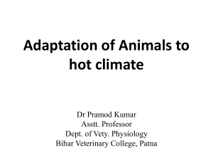 Adaptation to hot climate - Copy