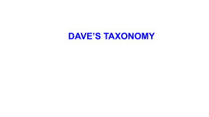 Dave's Taxonomy