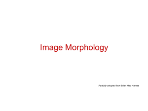Image Morphology Study Material
