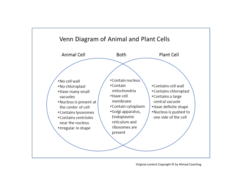 animal cell vs plant cell Venn diagram