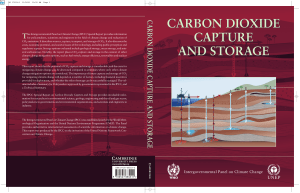 Carbon Dioxide Capture and Storage