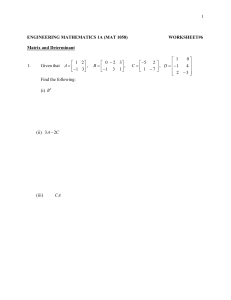 Worksheet 6 Matrix SPACE.pdf