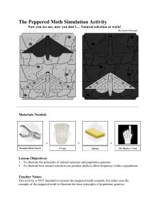 4.8 Peppered Moth Activity