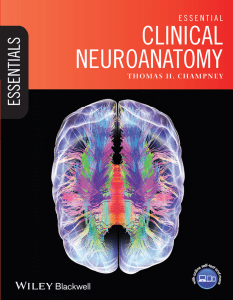 Essential clinical neuroanatomy ( PDFDrive )