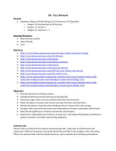 Cell Division Lab Manual