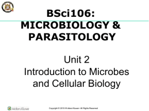 Unit 2 Introduction to Microbes and Cellular Biology (1)