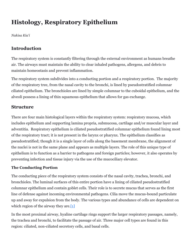 StatPearls Histology, Respiratory Epithelium 03-06-23