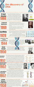 the discovery of DNA