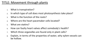 Movement through plants