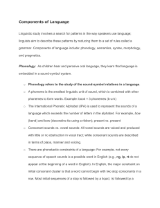 Components of language