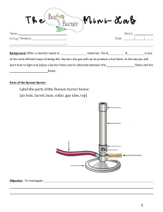 Bunsen Burner Mini-Lab Worksheet