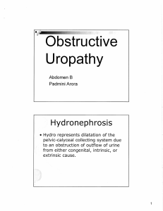 Obstructive Uropathy