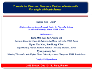 Towards the Plasmonic Nanopore 2019 SNAIAI Dec Paris  SNAIA2019