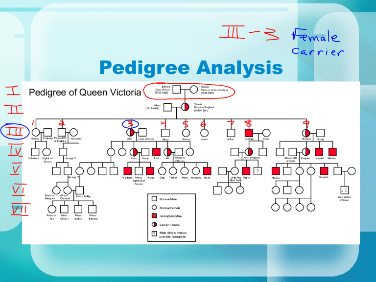 Pedigree Analysis Understanding Inheritance Patterns