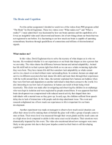 Chapter 8 The Brain and Cognition (Online Assigement)