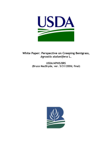 MacBryde.2006.WhitePaper_Perspective on Creeping Bentgrass