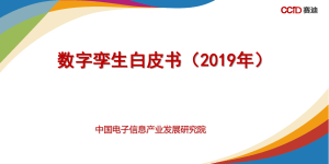 数字孪生白皮书 2019 年