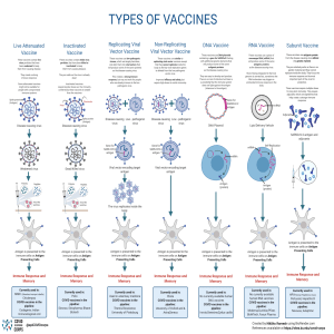 Types-of-vaccines