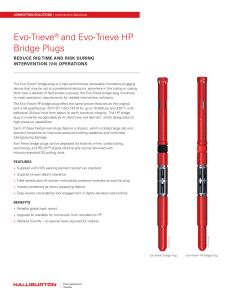 Evo-Trieve HP Bridge Plugs - H06439-DS