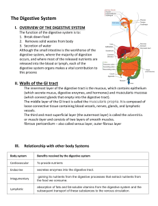 Digestive System Lecture com