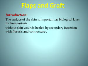 Flaps and grafts