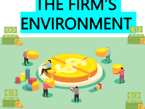 THE-FIRMS-ENVIRONMENT