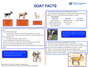 Goat-Facts-Sheet Reduced-size
