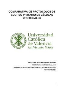Cultivo primario de celulas uroteliales - Gonzalo Docampo Dameá y José García Martínez