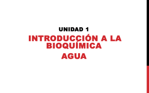 U1. Introducción a la Bioquímica. Agua