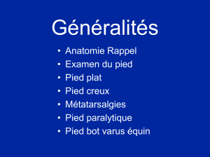 01- Pied-Généralités