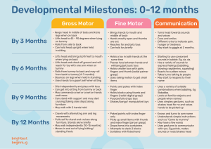 0+-12+Month+Developmental+Milestones+-+Brightest+Beginning